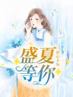 初心不负,盛夏等你txt下载