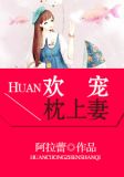 陆宸叶以念