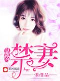 总裁的禁妻米