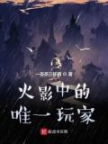 火影中的唯一玩家