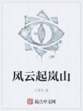 风起云岚小说