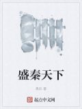 丐盛天下 小说