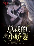 总裁的娇小萌妻