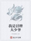 我是冒牌大少爷
