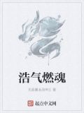 浩气燃魂