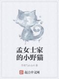 孟女士家的小野猫