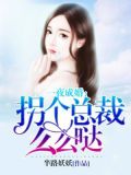 一夜成婚,狼性总裁心尖宠