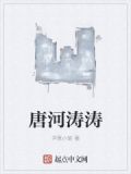 河南唐河王涛