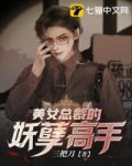美女总裁妖孽高手苏凌天全文阅读