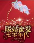 甜妻萌宝：七零农场致富记