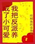 我把反派养成了小可爱[直播]番外