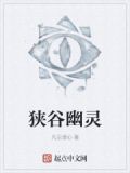 幽灵峡谷 sata