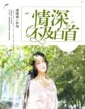 情深不及白首