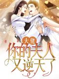 大佬你的夫人跑了