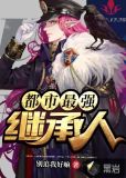 都市最强继承人 小说