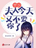 宁少爷宁夫人又有了