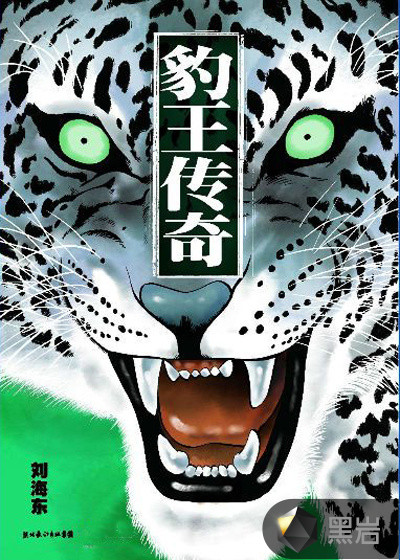 豹王传奇