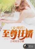 女神的至尊狂婿 小说