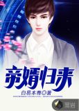 神婿归来免费阅读