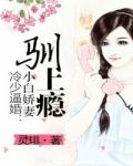 冷少绝宠小甜妻小说
