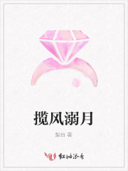 揽风挽你下一句