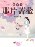 拐角处的那一抹微笑是啥意思