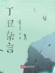 丁丑杂言
