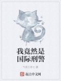 我是国际刑警fbi