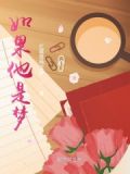 如果你是个梦歌词是什么意思