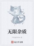 杂质限量如何表示