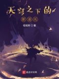 天穹之下的那道光免费阅读