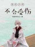宝石少女原著小说