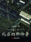 关于我死后的那档事的小说