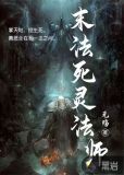 死灵法师魂法装备