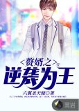 赘婿之逆转人生