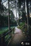 未来属于你和我校歌