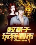 小说败家子玩转都市