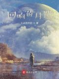 回响 攻略