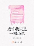 或许我只是一棵小草歌词
