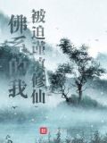 我要佛系