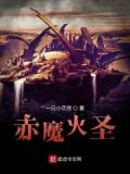 赤魔配装