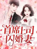 首席执行官的闪婚妻