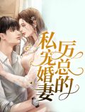 厉总的私宠婚妻厉霆深