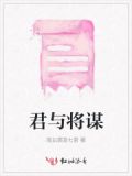 君与将小说