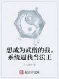 想成为武僧的我，系统逼我当法王