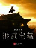 洪武多少钱