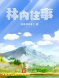 林内官方网站