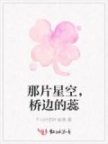 那片星空主题曲叫什么