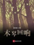 木琴演奏视频欣赏