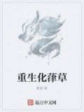 重生之化工 小说